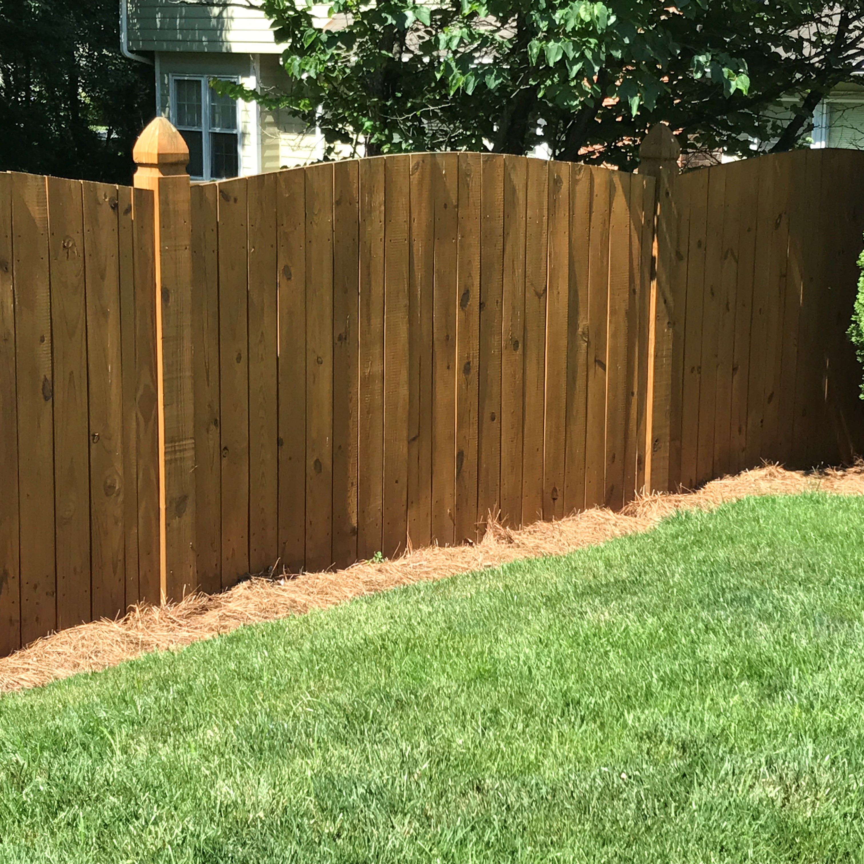 Fence with california cedar stain